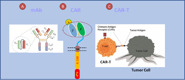wps_doc_3.png wps_doc_3.png