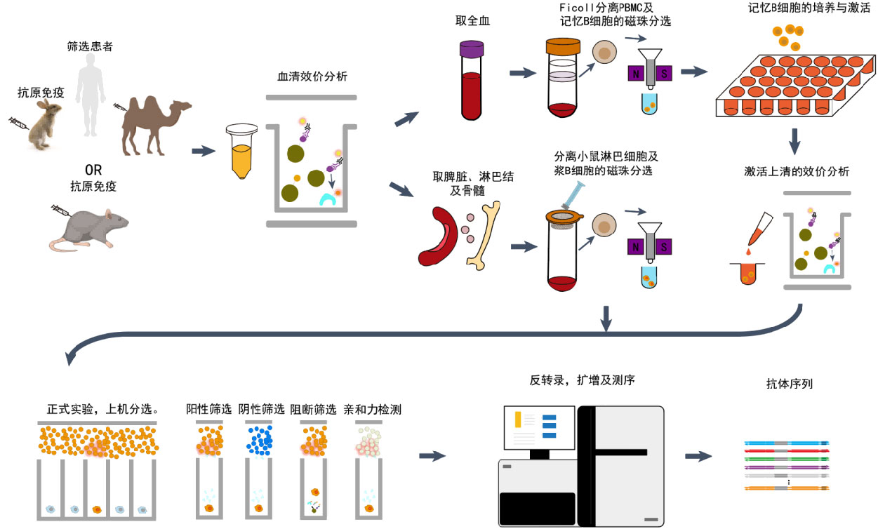 wps_doc_11.jpg wps_doc_11.jpg