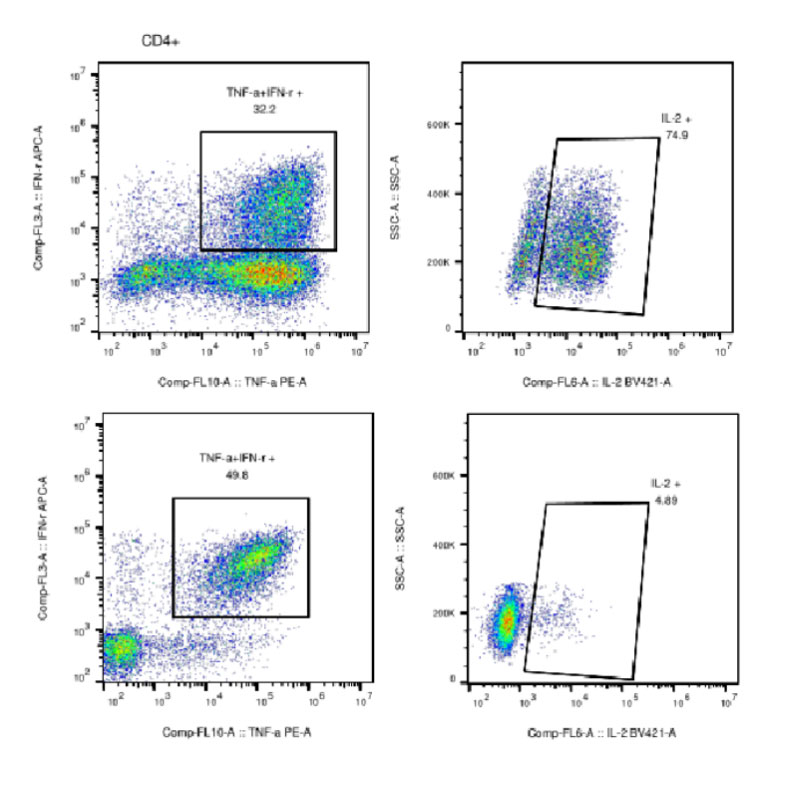 未标题-1.jpg 未标题-1.jpg