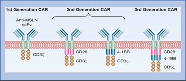 未标题-1.jpg 未标题-1.jpg