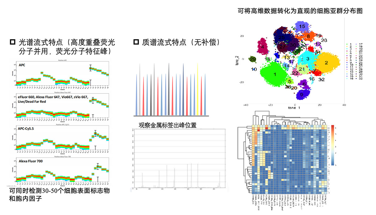 未标题-1.jpg 未标题-1.jpg