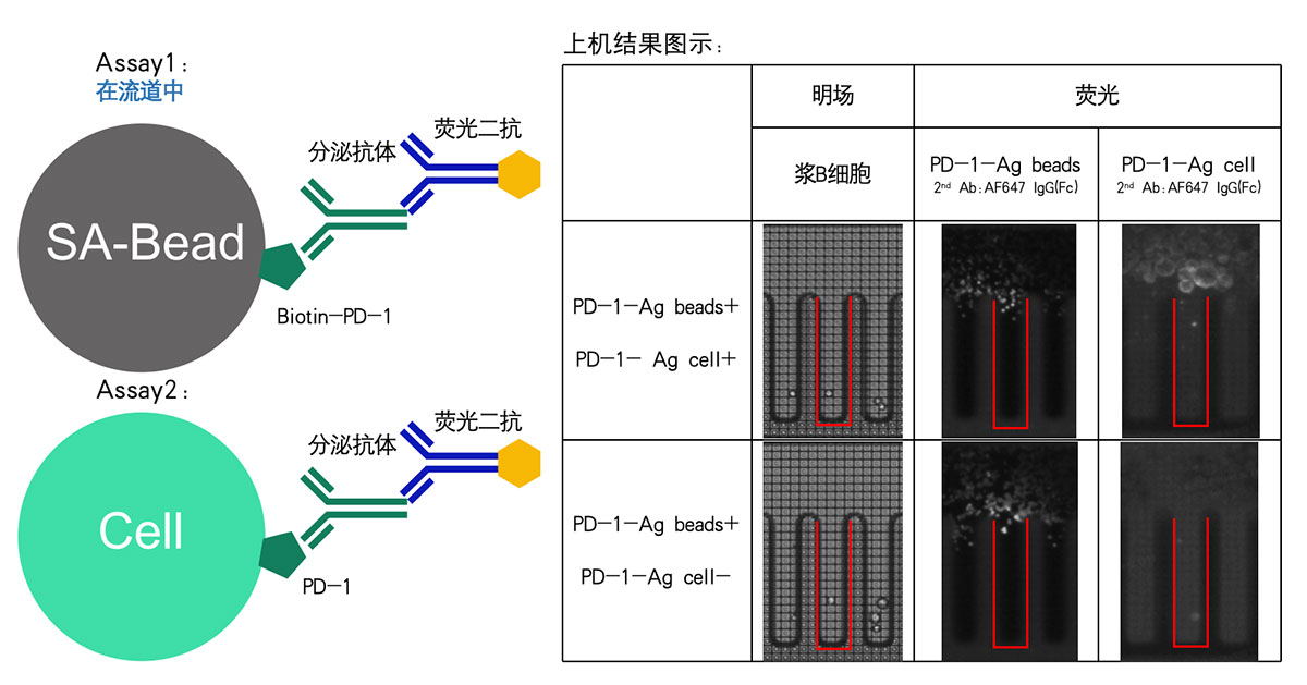 未标题-1.jpg 未标题-1.jpg