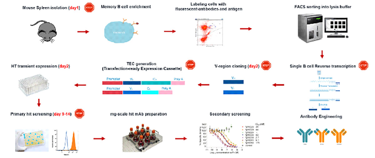 wps_doc_7.jpg wps_doc_7.jpg