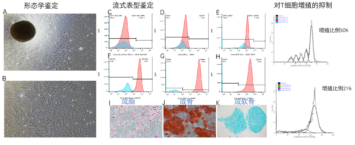 未标题-1.jpg 未标题-1.jpg