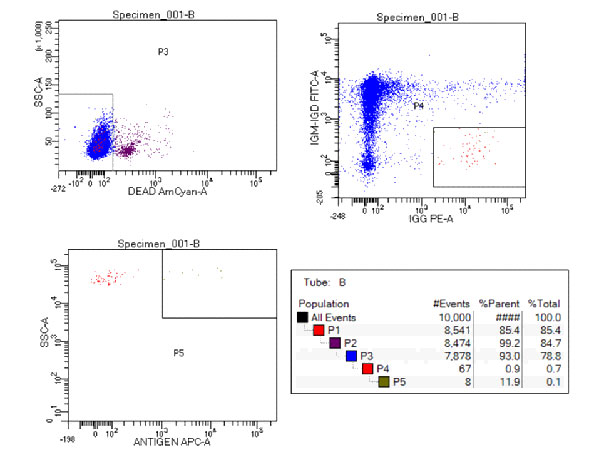 wps_doc_8.jpg wps_doc_8.jpg