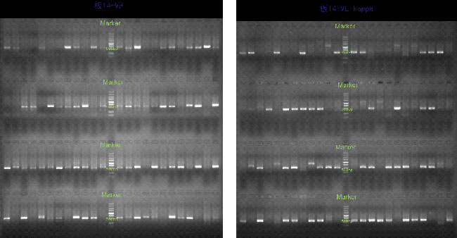 wps_doc_9.jpg wps_doc_9.jpg