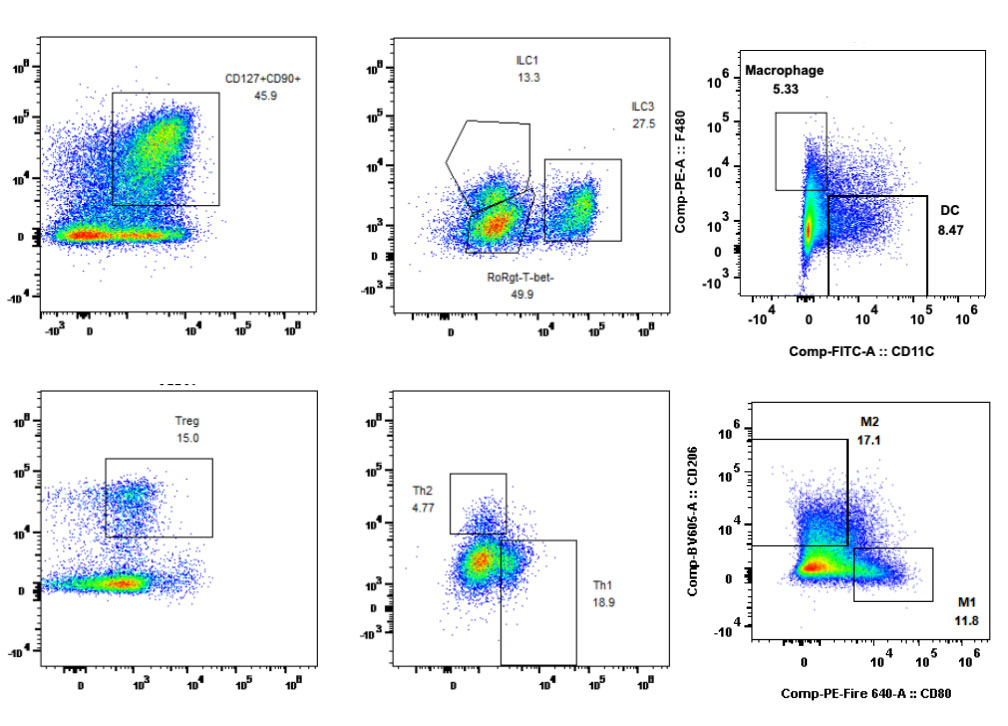 未标题-1.jpg 未标题-1.jpg