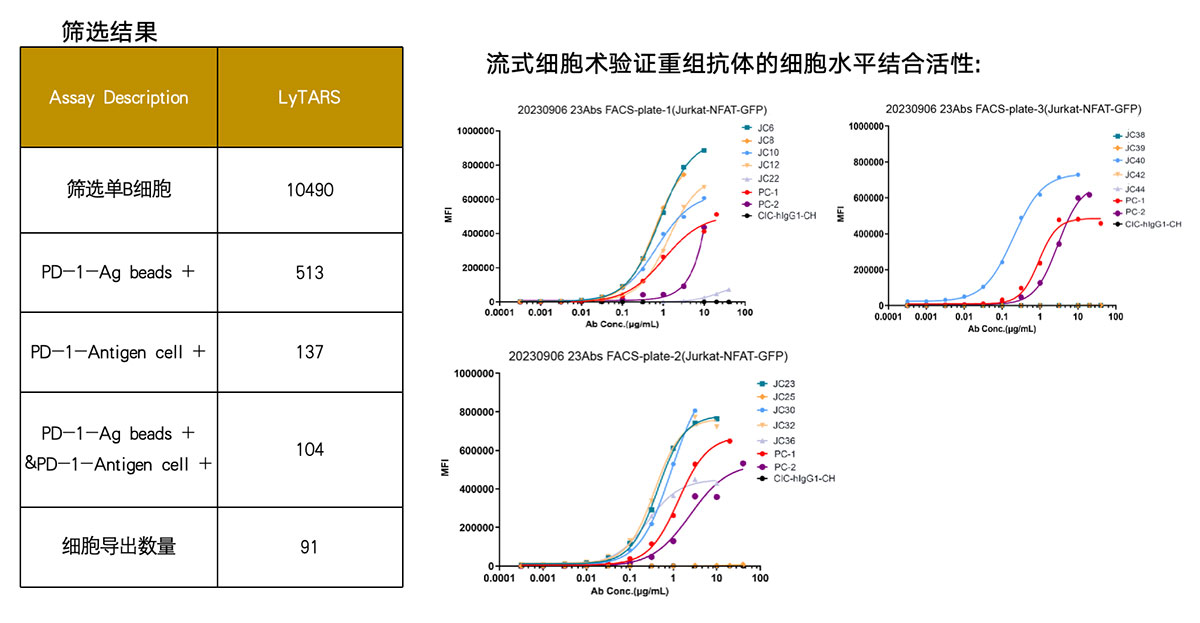 未标题-1.jpg 未标题-1.jpg